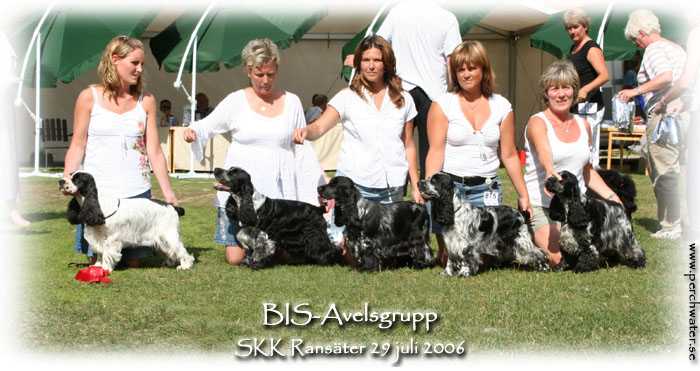 BIS-Avelsgrupp Ransäter 29 juli 2006