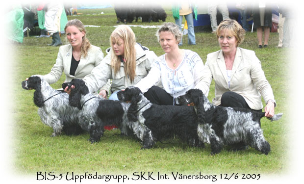BIS-5 Uppfödargrupp, SKK Int. Vänersborg 12/6 2005
