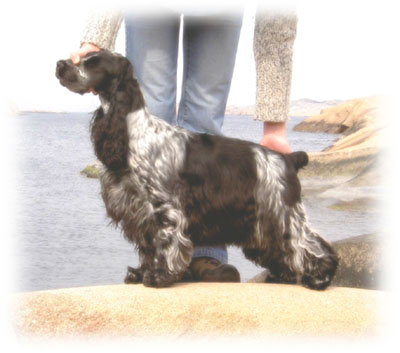 Polly 1 år!
