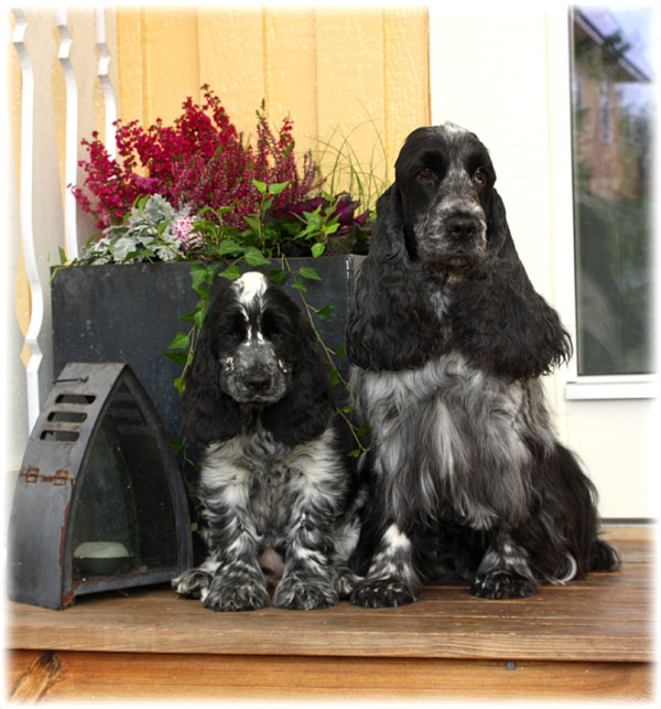 Docka & Polly, mother & daughter!