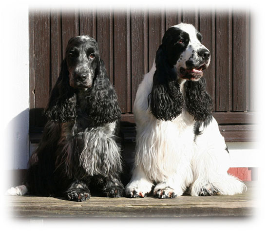Polly & Toby