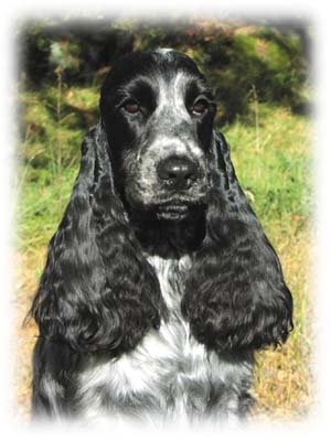 Polly ca. 17 månader