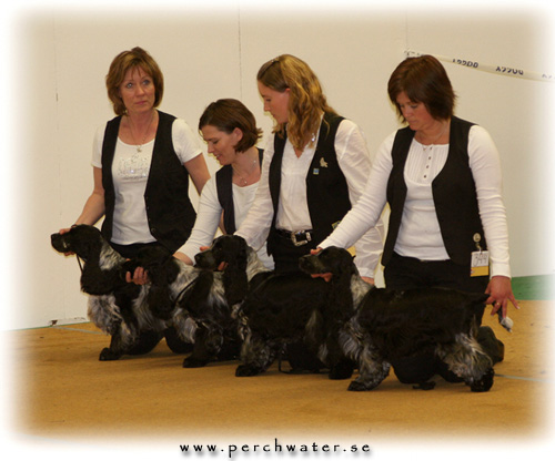 *Uppfödargrupp 1 HP, SSRK Uddevalla 1 april 2007*